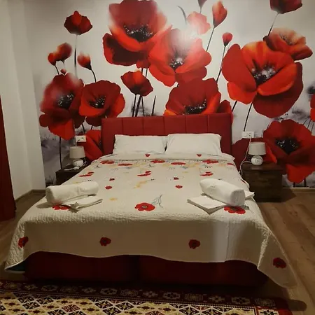Conacul Ancutei Bed & Breakfast 3*