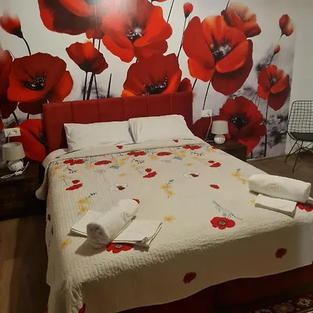 Bed & Breakfast Conacul Ancutei 3*