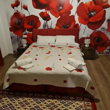Conacul Ancutei Bed & Breakfast