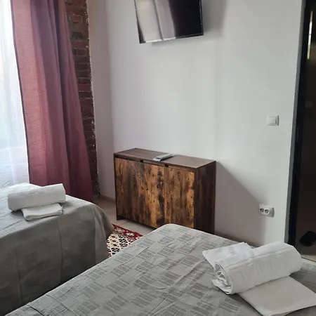 Bed & Breakfast Conacul Ancutei Brad (Hunedoara)