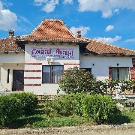 Conacul Ancutei Bed & Breakfast 3*