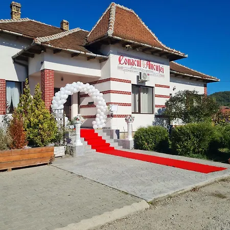 Conacul Ancutei Bed & Breakfast Brad (Hunedoara)