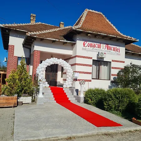 Bed & Breakfast Conacul Ancutei